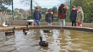 Vacances d'hiver - 19 au 23 février 2024