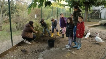 Mercredis de novembre 2016