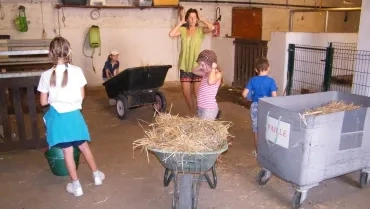 Vacances d'été - 22 au 26 août 2016