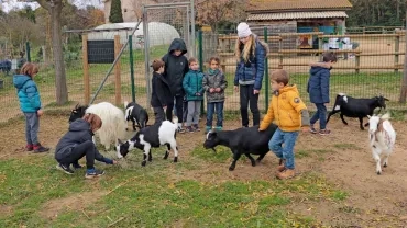Mercredis de décembre 2019