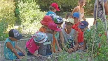 Vacances d'été - 22 au 26 juillet 2019