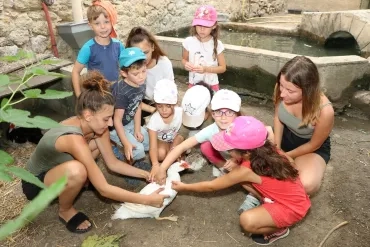 Vacances d'été - 27 au 31 août 2018