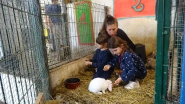 Vacances de printemps - 25 au 29 avril 2022