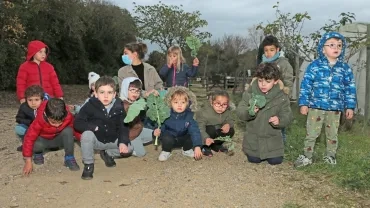 Mercredis de novembre 2020