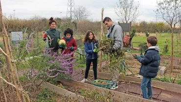 Mercredis de décembre 2019