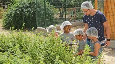 Mercredis de juin 2019
