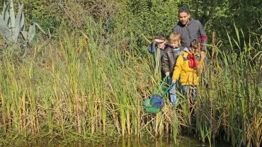 Vacances d'automne - 29 au 31 octobre 2018