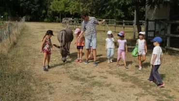 Vacances d'été - 24 au 28 juillet 2017