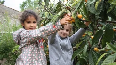 Mercredis de juin 2016