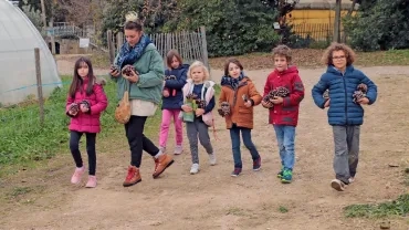 Mercredis de décembre 2019