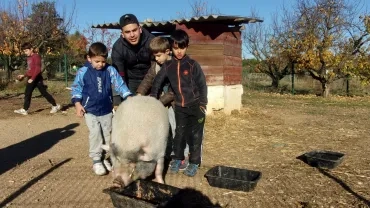 Mercredis de novembre 2017