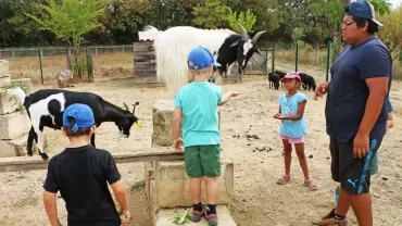 Vacances d'été - 26 au 30 août 2019