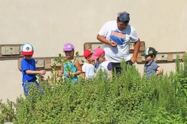 Vacances d'été - 22 au 26 juillet 2019