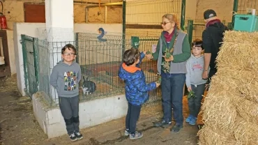 Mercredis d'avril 2019