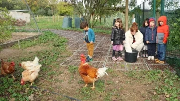 Mercredis de novembre 2022