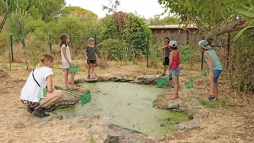 Vacances d'été - 20 au 24 juillet 2020