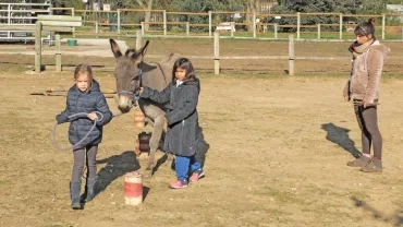 Mercredis de novembre 2019