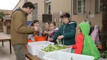 Mercredis de janvier 2018