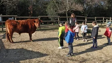 Mercredis de février 2023