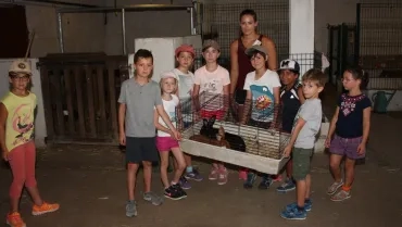 Vacances d'été - 25 au 29 juillet 2016