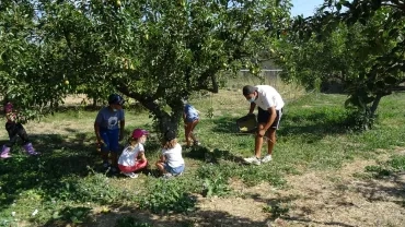 Vacances d'été - 26 au 30 juillet 2021