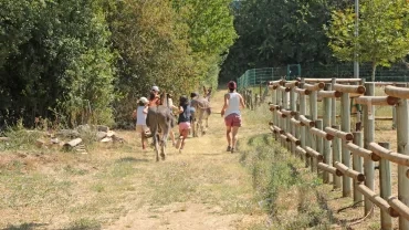 Vacances d'été - 27 au 31 juillet 2020