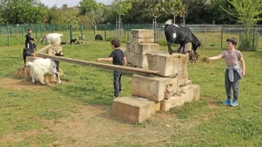 Mercredis d'avril 2019