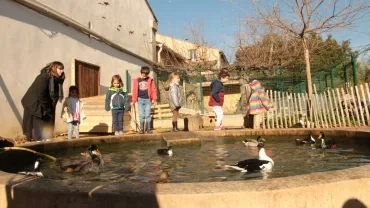 Vacances d'hiver - 12 au 16 février 2024