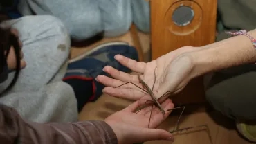 Diaporama de l'Accueil de Loisirs des mercredis de février 2016