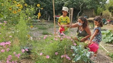 Vacances d'été - 27 au 31 juillet 2020