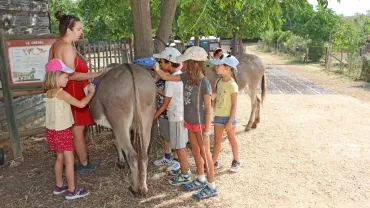 Vacances d'été - 18 au 22 juillet 2022