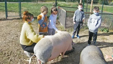 Mercredis de novembre 2020