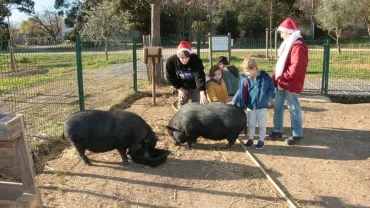Vacances de Noël - 23 au 27 DÉCEMBRE 2024