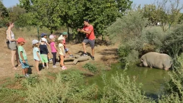 Mercredis de septembre 2018