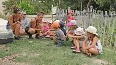 Vacances d'été - 13 au 17 août 2018