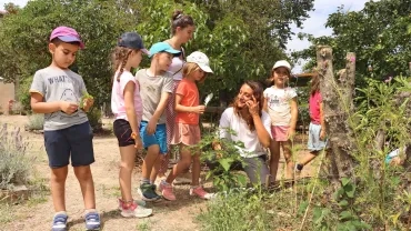 Vacances d'été - 17 au 21 juillet 2023