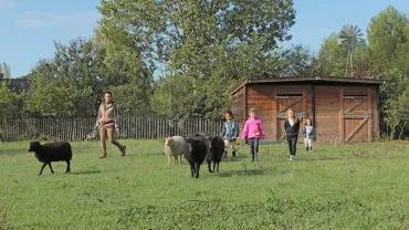Vacances d'automne - 21 au 25 octobre 2019