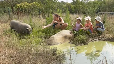 Vacances d'été - 10 au 13 juillet 2023