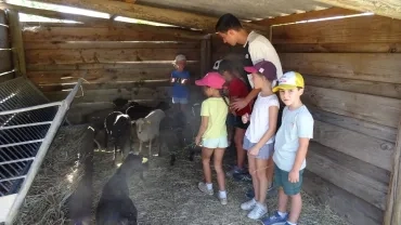 Vacances d'été - 28 au 29 juillet 2022