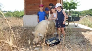 Vacances d'été - 18 au 22 juillet 2022