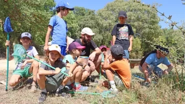 Vacances d'été - 11 au 15 juillet 2022