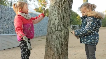 Mercredis de novembre 2019