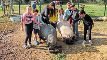Vacances d'automne - 28 au 31 octobre 2019
