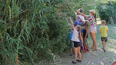 Vacances d'été - 30 juillet au 3 août 2018
