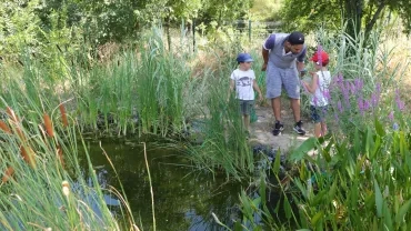 Vacances d'été - 30 juillet au 3 août 2018