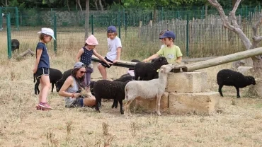 Mercredis de Juin 2022
