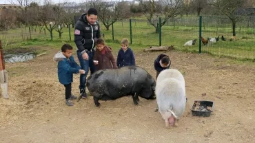 Mercredis de janvier 2019