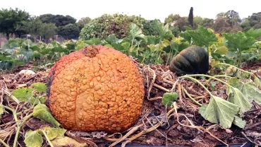 Mercredis d'octobre 2023