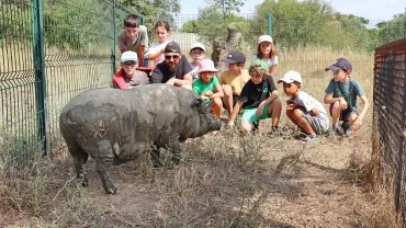 Vacances d'été - 15 au 19 juillet 2024
