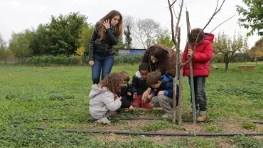 Mercredis de novembre 2016